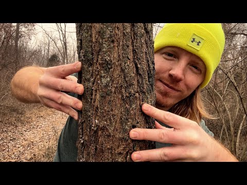 ASMR | Giving The Trees A Massage 🌳 - Part 2
