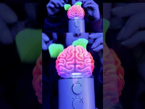 ASMR mic brushing #short