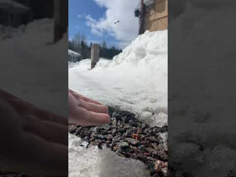 The Lovely Sounds Of Spring ASMR