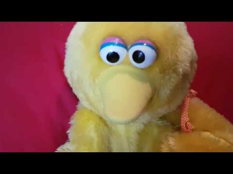 Whispering & Pampering Big Bird !! Cute Weird Tingles! #asmr