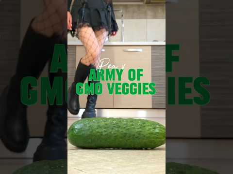 Pea's Chelsea Knee-High Boots Crushing Food! Oddly Satisfying! ASMR