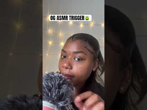 I love me some bugs #asmr #tingles