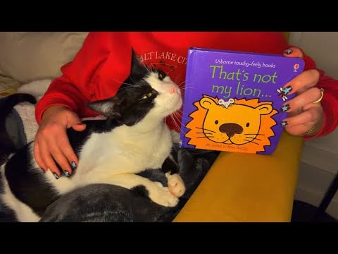 ASMR | Reading to Norman