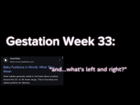 “ASMR” “Roleplay”: You and Your Twin Misunderstand Directions on the 33rd Week in the Womb