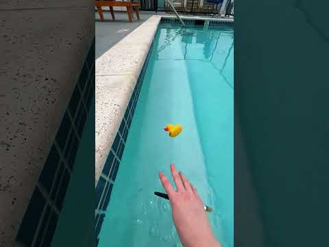 Ca you guess the celebrity i’m thinking of? asmr game at the pool #asmr #fyp #lofiasmr #asmrgames