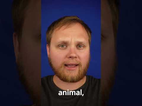 [ASMR] I will read your mind!