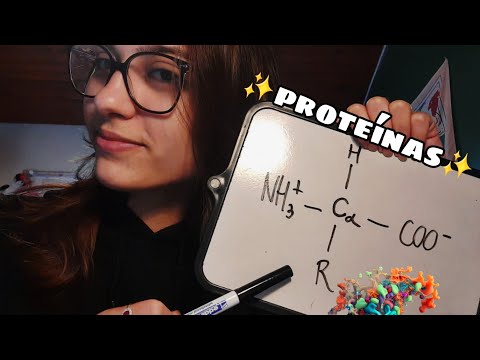 ASMR BIOQUÍMICA BÁSICA: PROTEÍNAS🔬⚗️