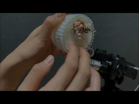 [ASMR] (No Talking) Candle Glass Scratching, 울퉁불퉁 유리 긁는 소리