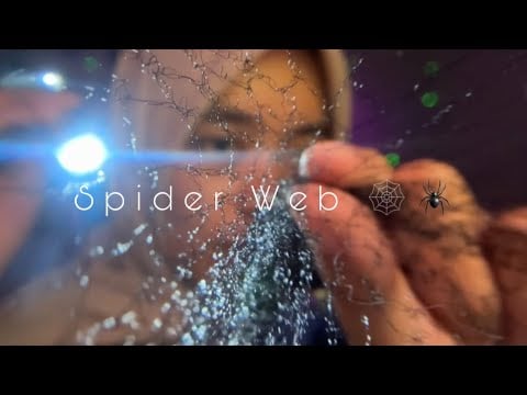 ASMR Spider Web🕷️🕸️— Tingly Mouth Sound and Visual Trigger ✨👀