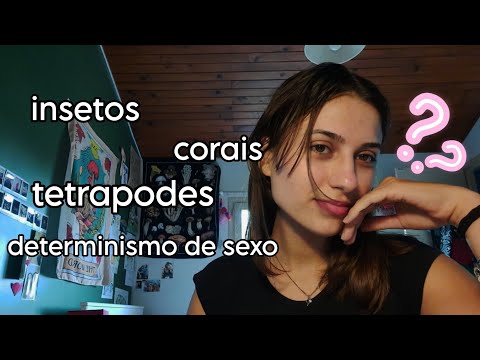 ASMR CURIOSIDADES DE BIOLOGIA pt.3 (O REINO ANIMAL)