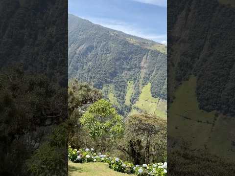 #equador #travel #quitoecuador