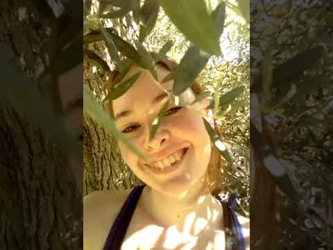 #asmr by the olive tree!!! (it's really short, so sorry!!!)