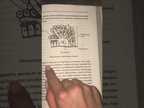 Book ASMR tapping 📓 #asmr #tapping #books