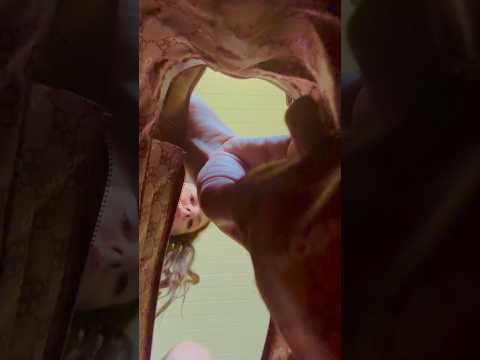 Pov:você esta dentro da minha bolsa #asmr