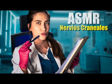 ASMR de NERVIOS CRANEALES como ningún otro: Completo, realista y relajante | ASMR español with Sasha