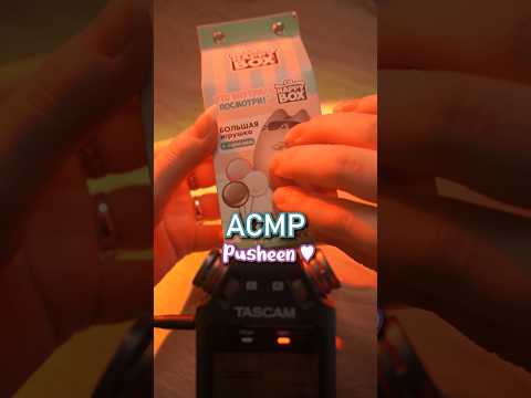 АСМР 💖 котик Пушин #beatrisiusasmr #asmr #triggers