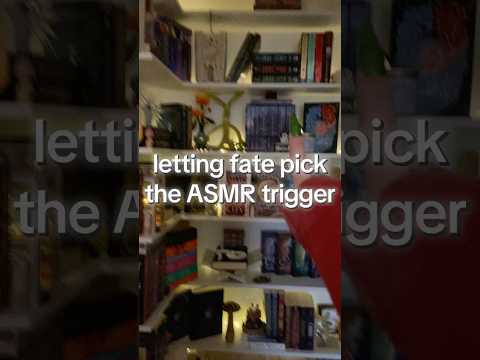 fate x asmr x bookshelf