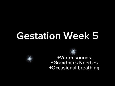“ASMR” “Roleplay”: Listening to Grandma’s Needles While in the Womb with Your Twin