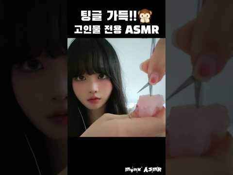 팅글이 가득! 고인물 전용 ASMR💓
