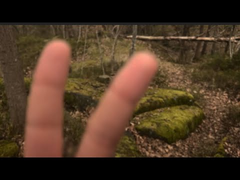 Lofi ASMR in the Forest - Nature Sounds, Personal Attention & My Dog Joins In