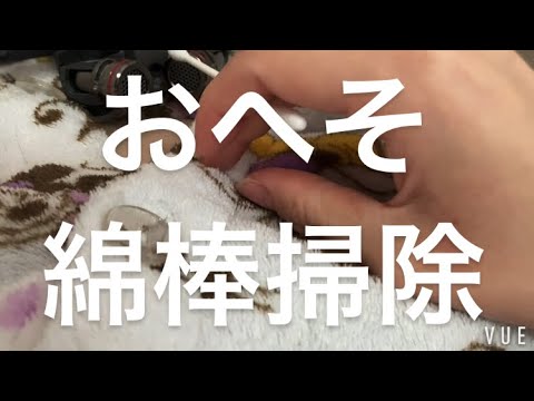 ASMR 閲覧注意⚠️おへそを綿棒で掃除する【request move】