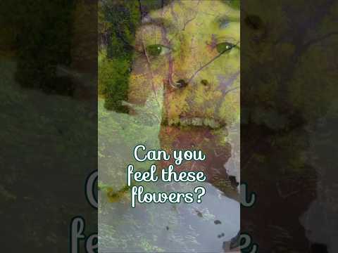 River walk personal attention ASMR #asmr #personalattention #relax #meditation #deepsleep