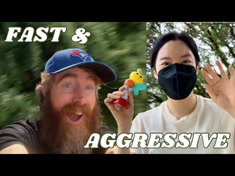 🍃SUPER FAST & AGGRESSIVE🎋 Collab with @ComeToRestASMR (lofi)
