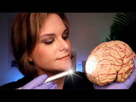 ASMR Fixing Your Brain: Examining, Cleaning & Fixing