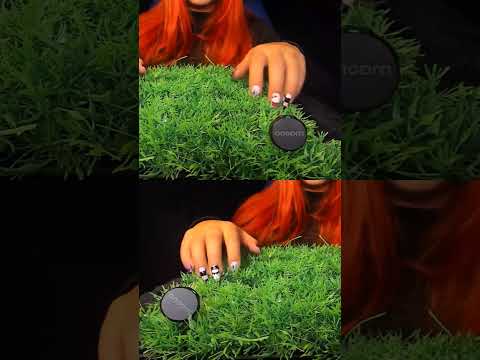 This Sound Is So Satisfying… 😍 | ASMRScratching (No Talking) #tingles #shorts #asmr