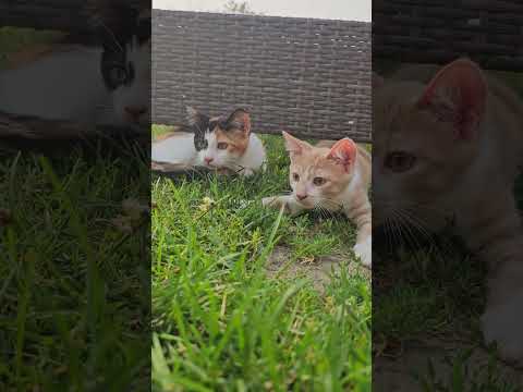 Jaydyn and Spooks