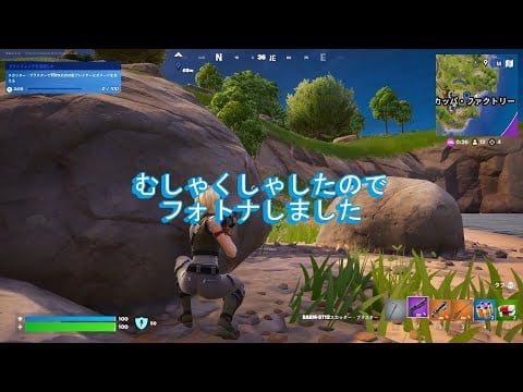 【Fortnite】操作忘れた！イージーだと思ったらBot戦だった件
