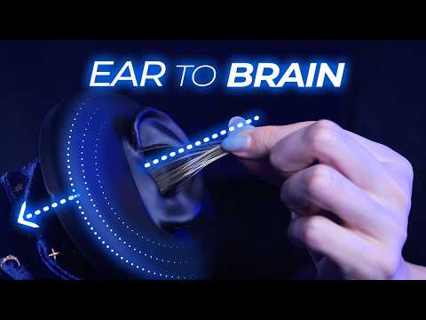 ASMR Ear-to-Brain Cleaning for the DEEPEST Tingles (No Talking)