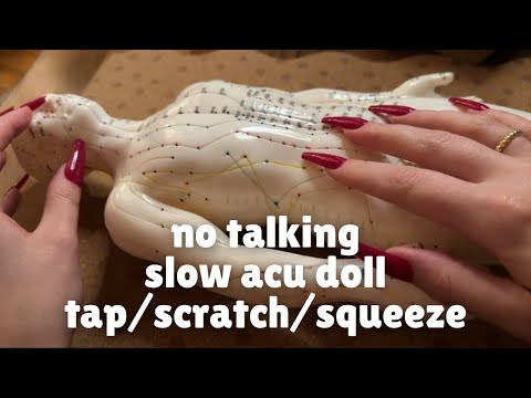 ASMR Fall Asleep to Slower Acupuncture Doll Tapping, Scratching & Squeezing (No Talking)