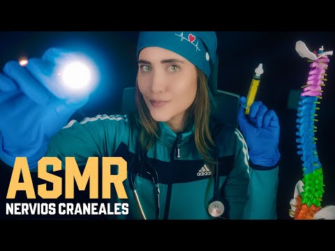 ASMR de NERVIOS CRANEALES como ningún otro: Completo, realista y relajante | ASMR español with Sasha