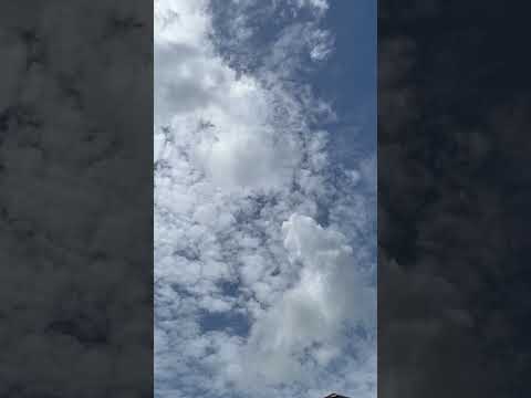 Relax to the Nature Jazz Sounds #relax #short