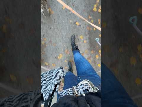 Spazieren gehen ASMR mit meinen Hunden. 😇