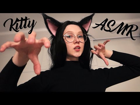 ASMR Kitty prrr sounds 🐱 for your ears and relax