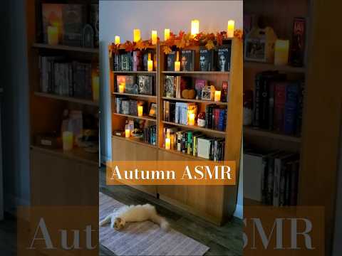 🍂 My Cozy Autumn Bookcase 🍂 #asmr #asmrshorts