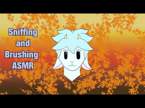 Sniffing and Brushing ASMR