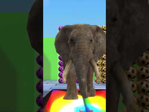 3D#Long #Slide #games #shorts #shortvideo   Elephant, 3D Animal