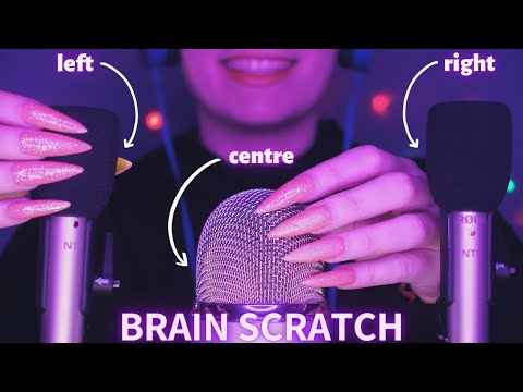 Asmr Mic Scratching - Brain Scratching | Hypnotic Asmr No Talking for Sleep with Long Nails 1H