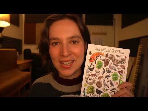 ASMR Wildlife Postcards & Instructions (Part 2)