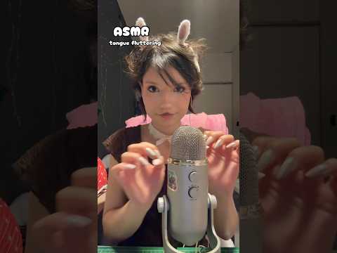 𑣲ASMR || tongue fluttering 👅