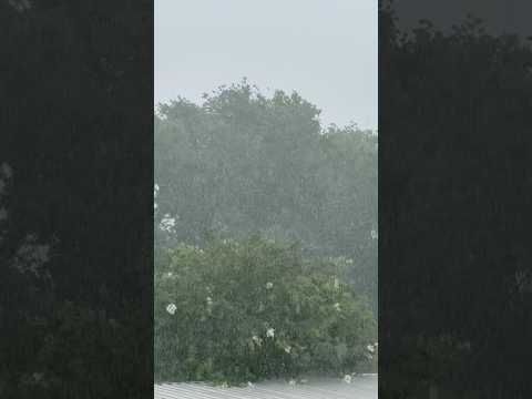 “Sounds of Nature Rain Showers for sleeping” #shorts