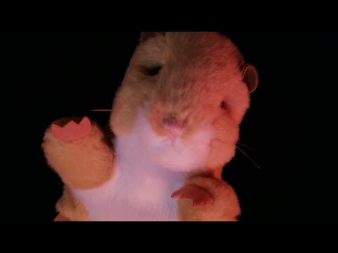 ASMR Extreme Bassy Scratching 🐹