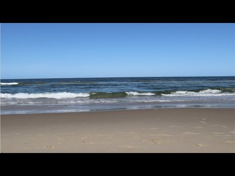 ASMR - At The Beach