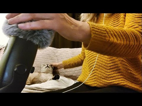 Cosy ASMR 🧸 Cat Petting & Fluffy Mic Brushing | No Talking