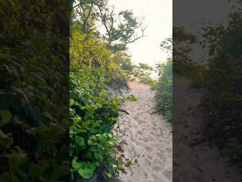 Beautiful Beach Walk #relaxing #beach #asmr