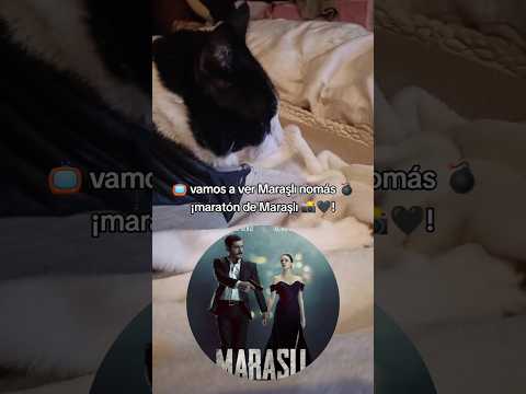 📺 Hoy toca maratón de Maraşlı 💣🐈‍⬛, la que es hasta el momento, mi serie turca favorita 🖤