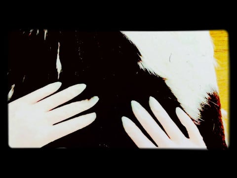 LATEX GLOVES 😻 rubbing and scratching hairy skin😽 [[ASMR]]